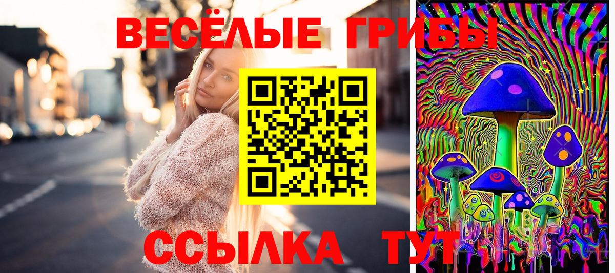 Псилоцибиновые грибы мухоморы Майкоп
