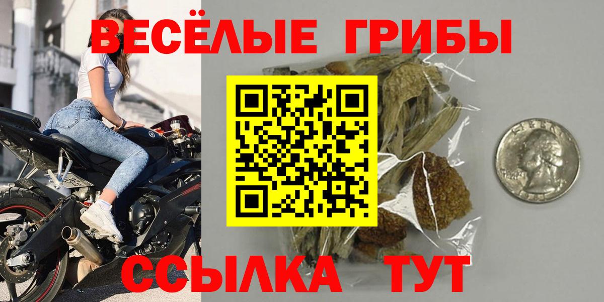 магазин продажи   Вход с VPN  Майкоп  Псилоцибиновые грибы MAGIC MUSHROOMS 